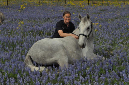 bluebonnets
